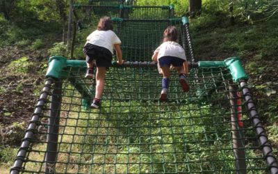 ストレッチの力　お子様版