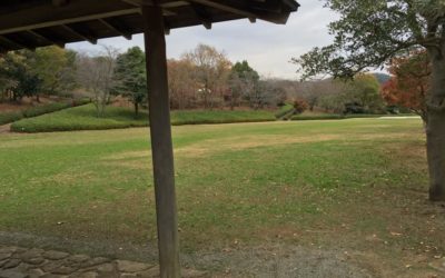 出張リンパケアマッサージ