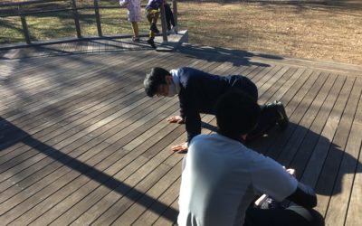 パソコン生活などで気になる身体。体幹を動かさないと・・・