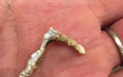 〜主夫道日誌〜