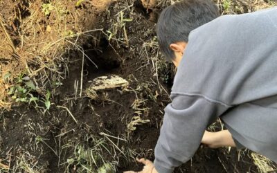 【 階段をつくる 】